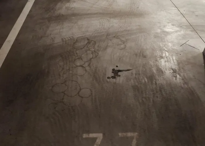 Lejlighed Dalmatian Breeze *